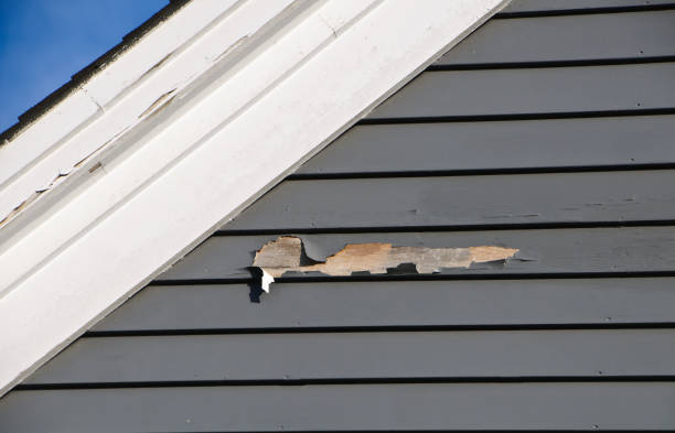 Best Custom Trim and Detailing for Siding  in West Rson, CA